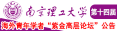 鸡巴网站9南京理工大学第十四届海外青年学者紫金论坛诚邀海内外英才！